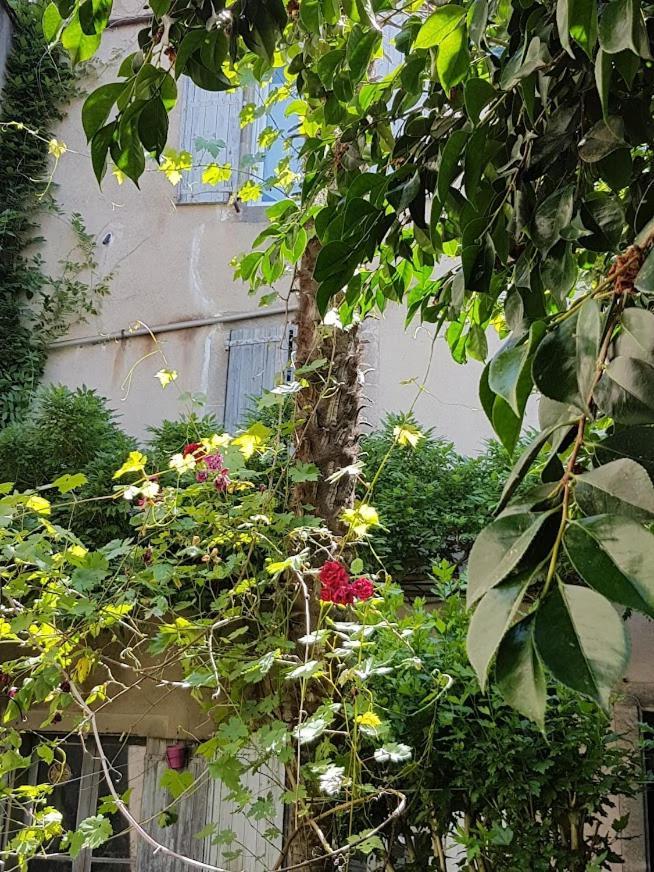 Chambre D'Hote La Passerelle Mazamet Εξωτερικό φωτογραφία