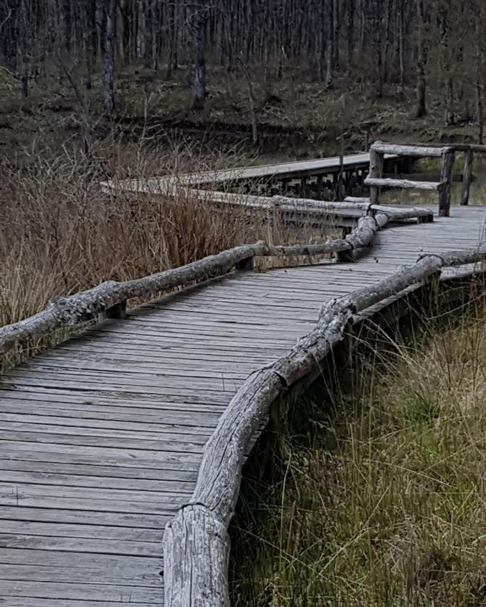 Chambre D'Hote La Passerelle Mazamet Εξωτερικό φωτογραφία